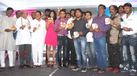 Adhyaksha Audio Launch