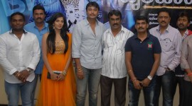 Brindavana Press Meet