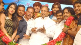 Dove Audio Launch