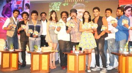 Endendu Ninagaagi Audio Launch