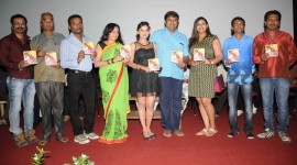 Ice Pice Audio Launch