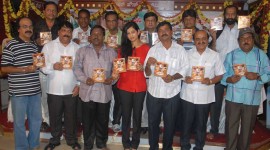 Kalyana Masthu Audio Release