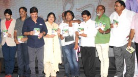 Neenadene Audio Launch