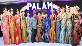 Palam Silks Silkline Fashion Show