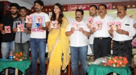 Usirigintha Audio Launch