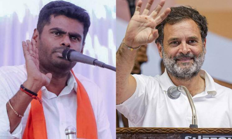 'A clear traffic violation': BJP's K. Annamalai criticizes Rahul Gandhi for jumping over a median while attending election rally in Coimbatore - Daily Cinema news