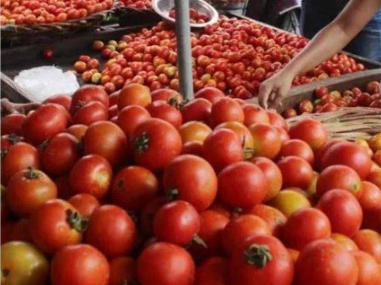 tomato price koyembedu
