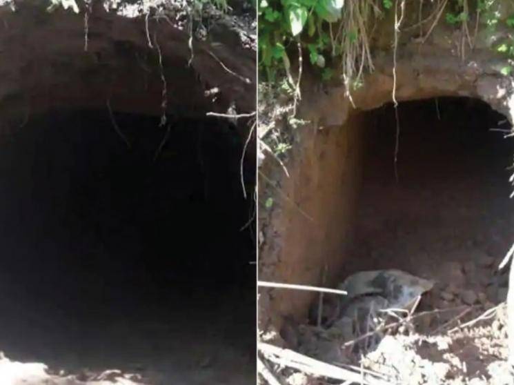 BSF detects hidden tunnel near International Border from Pakistan to Jammu and Kashmir