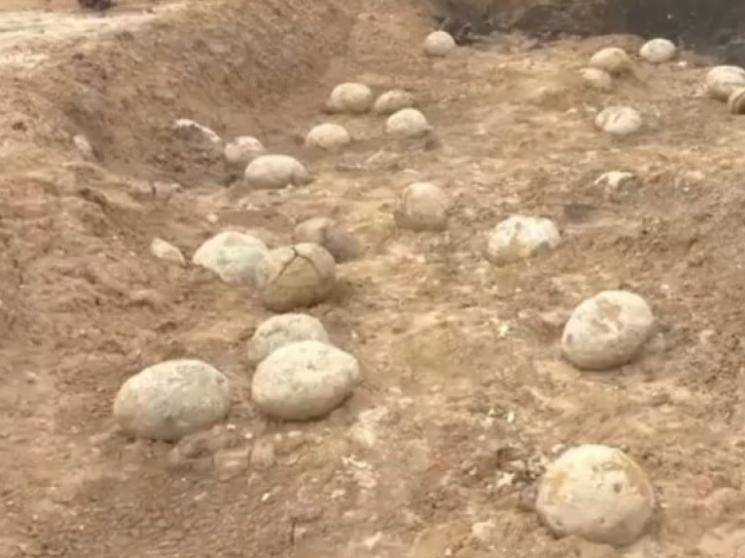 Perambalur fossils not Dinosaur eggs - Experts clarify!