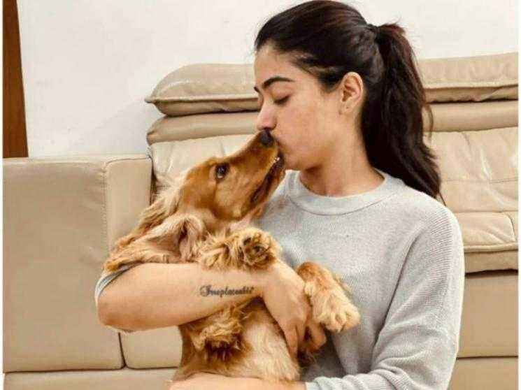 Rashmika Mandanna demands flight tickets for her dog from producers? Here's her REACTION! Check out!