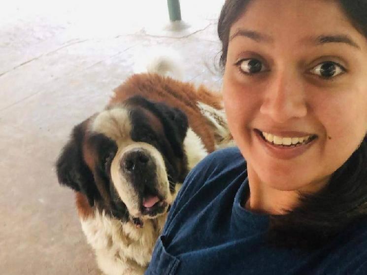 Meghana Raj mourns the demise of her pet dog - pens a heartfelt note!